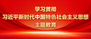 美女爱大黑吊学习贯彻习近平新时代中国特色社会主义思想主题教育_fororder_ad-371X160(2)